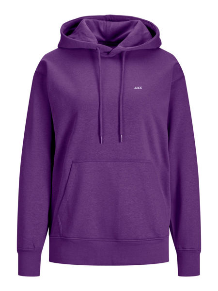 Picture of JXABBIE HOODIE